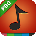 Music Top 100 Hits PRO