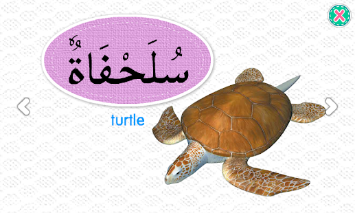 Learn Arabic 2(圖4)-速報App