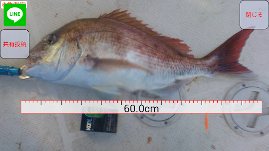 Fish measurement Screenshots 6