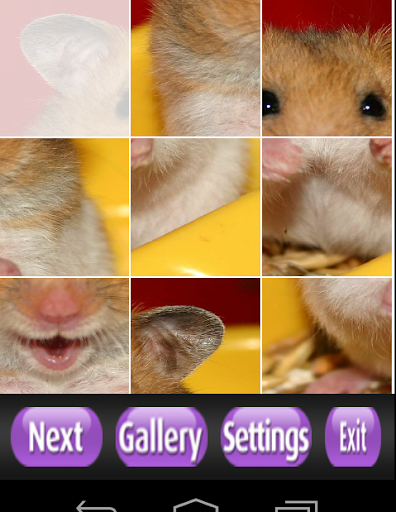 【免費解謎App】Hamster Puzzle Games-APP點子