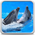 Dolphins Live Wallpaper21.0