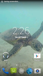 Sea Turtle HD. Wallpaper(圖4)-速報App