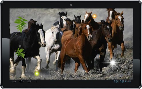 Horses Free HD live wallpaper Screenshots 1