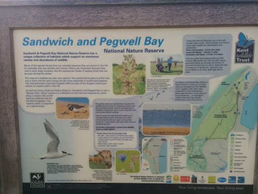 Sandwich and Pegwell Bay