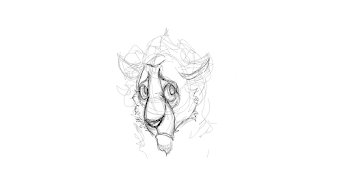 wip. ssh