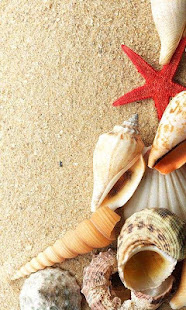 Sea Shell Live Wallpaper(圖5)-速報App