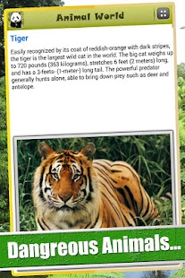 Download Animal World APK for PC