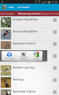 South American Birds Sounds Screenshots 18