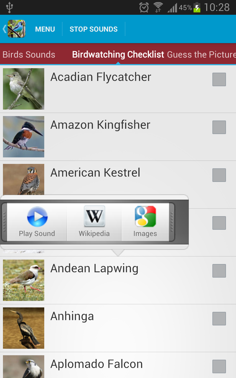 South American Birds Sounds Screen 3