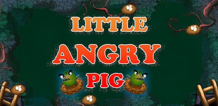 Little Angry Pig