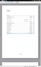 Banana Accounting 7 poster 4