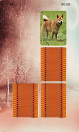 Dogs Matching poster 1