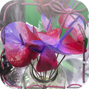 Anthurium Jigsaw Puzzles.apk 1.0