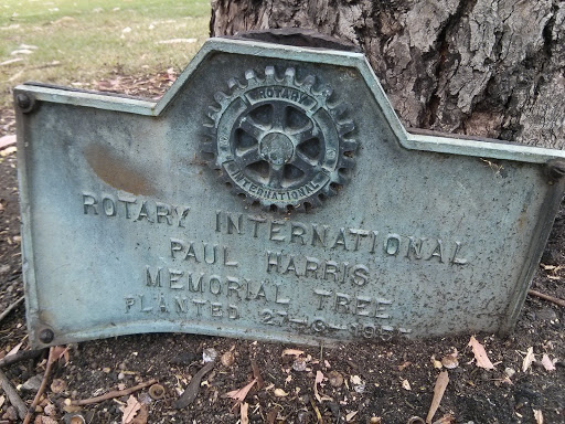 Paul Harris Memorial Tree