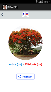 Jules974 - Cut - náhled