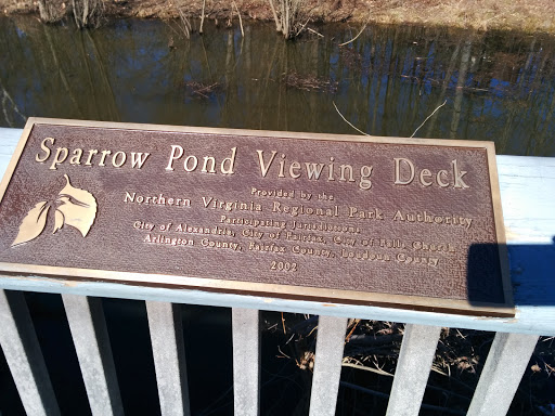 Sparrow Pond Viewing Deck