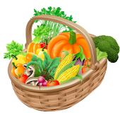 Grocery Shopping List