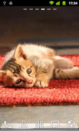 Epshot Wallpaper poster 8