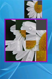 Custom Sliding Puzzle poster 3