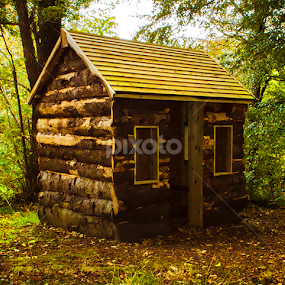 Cabin in the woods by Lisa Davies - Buildings & Architecture Other Exteriors