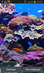 水族館動態壁紙(圖4)-速報App