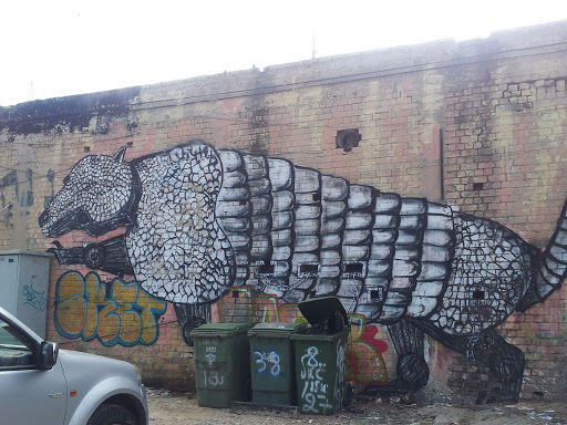 Animal Graffity Art