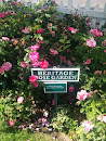 Heritage Rose Garden