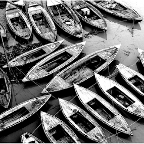 A Cluster  by Tapesh Mukherjee - Black & White Objects & Still Life