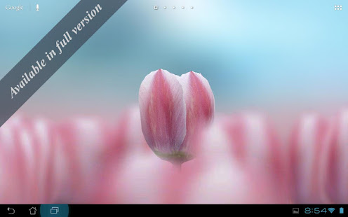 3D Tulip Live Wallpaper Free(圖5)-速報App