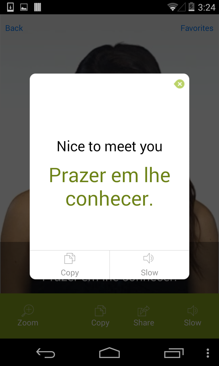 Portuguese Video Translation Screen 3