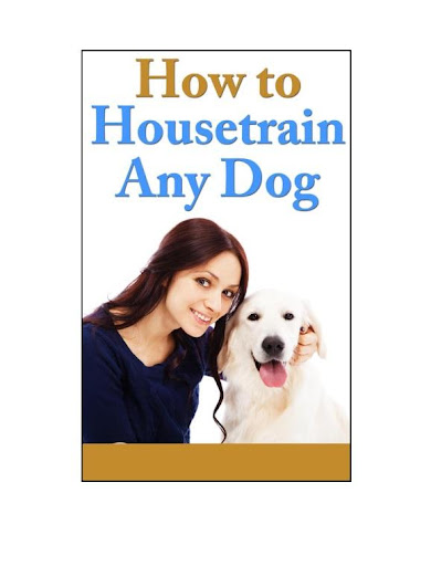 How To Housetrain Any Dog