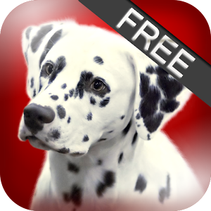 About Dog Breeds (Free).apk 0.6