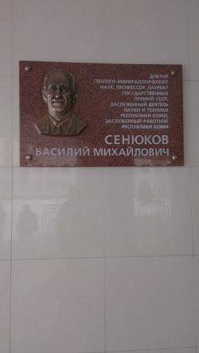 Мемориал Сенюкова