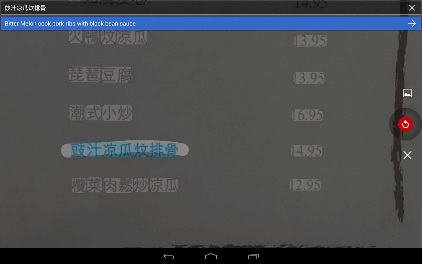 Google Tradutor - screenshot