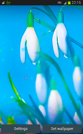 Flowers HD Live Wallpapers