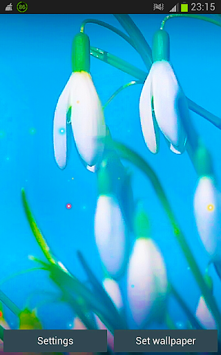 免費下載個人化APP|Flowers HD Live Wallpapers app開箱文|APP開箱王