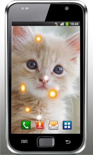 【免費個人化App】Pet Kitty HD Live Wallpaper-APP點子