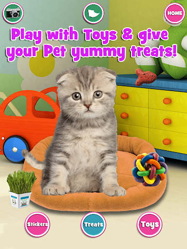 免費下載教育APP|My Real Baby Pug & Kitten FREE app開箱文|APP開箱王