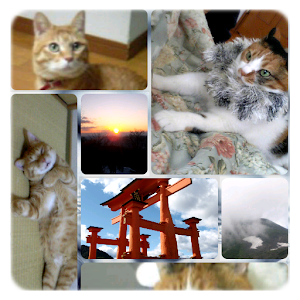 Photo&Launcher Widget.apk 1.41