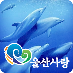 울산사랑 1.1