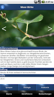 Baum Id Schweiz - Bäume der Schweiz(圖5)-速報App