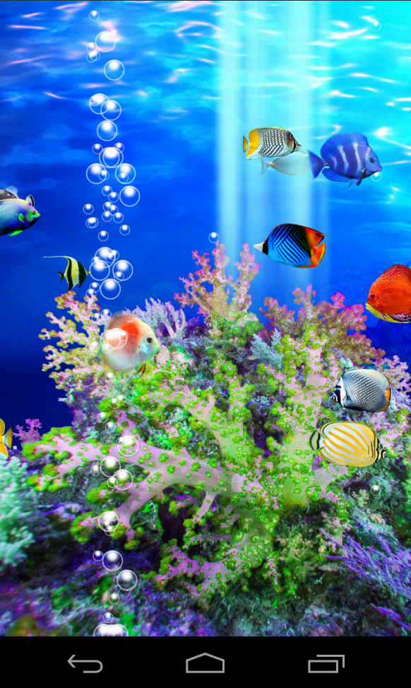 Coral Fish Screen 3