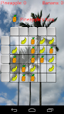 Hawaii Five in a Row