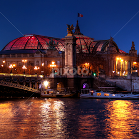 Grand Palais - Paris by Cyprien Conier - Buildings & Architecture Public & Historical
