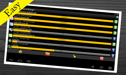 Easy Download Manager