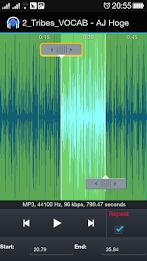 Repeat Player : Study Language poster 3