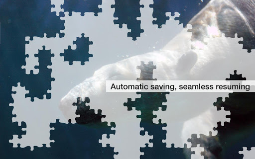 【免費解謎App】Polar Bear Jigsaw Puzzles-APP點子