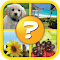 hack astuce 4 Pics 1 Word Puzzle Plus en français 