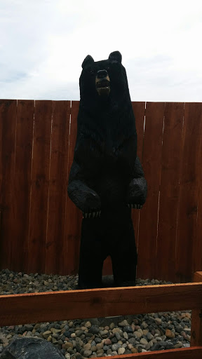 Black Bear Carving