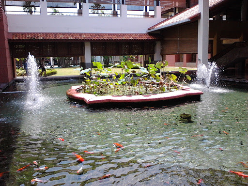 Pond within a Pond